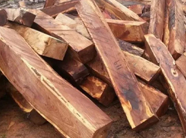 最新消息：老撾黃檀屬及達(dá)加斯加黃檀屬、柿屬物種仍禁止貿(mào)易